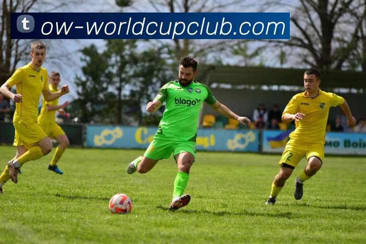 世界杯体育投注平台生态图